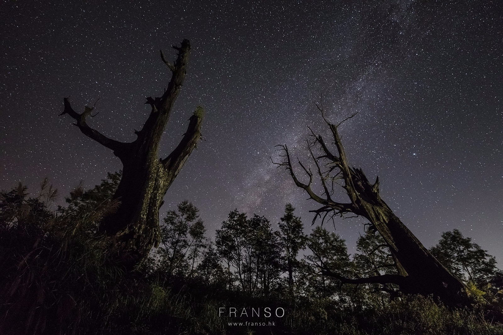 Starscape and Milkyway |  | The Couple Trees | 