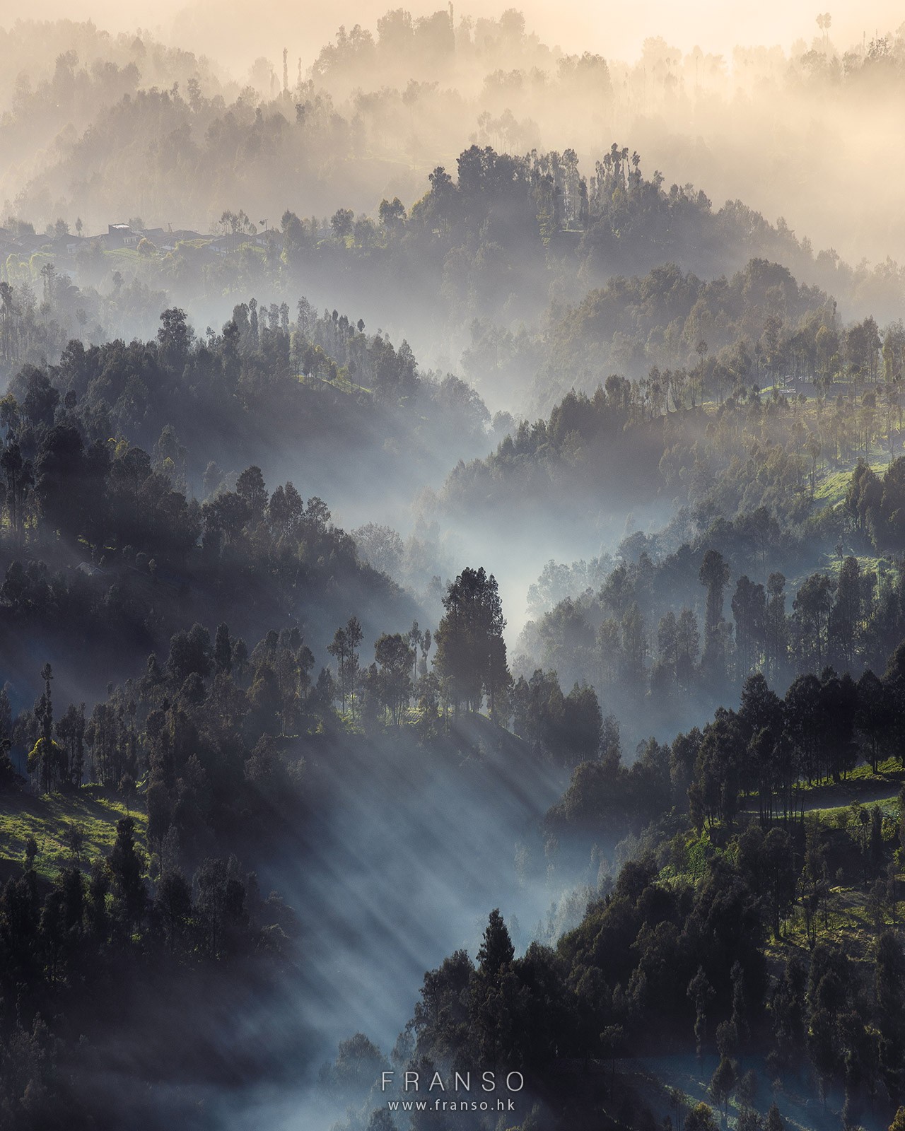 Landscape | Overseas | The mist and the forest | 
